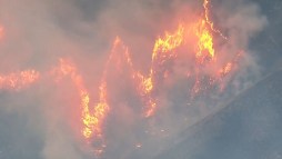 Video: Incendio forestal arrasa en estado de Washington