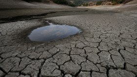 Quinn: “Recen por lluvia”