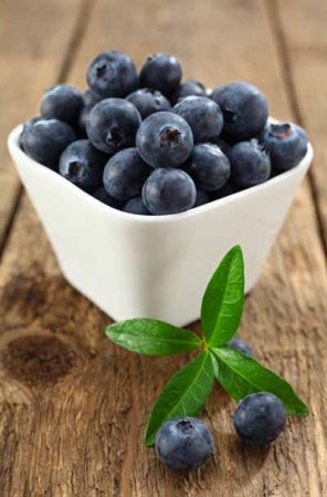 Arándanos. Contienen una de las concentraciones más altas de antioxidantes en el reino de las frutas. Entre ellos, la antocianina, que de acuerdo con WebMD, sitio especializado en salud, ha demostrado ser benéfica para reducir el riesgo de presión arterial alta. Además, el portal señala que esta fruta, que contiene muy pocas calorías, puede ayudar a mantener la memoria en buena forma.