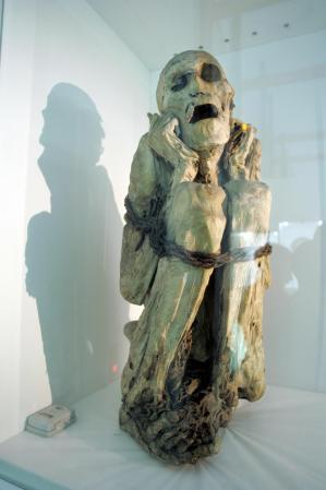 Estas momias encontradas en las altas montañas de los Andes, generalmente eran sacrificadas a los dioses.