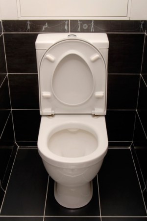 Dejar la tapa del inodoro levantada, aunque algunos hombres dicen que quejarse al respecto es como si ellos se quejaran de que la tapa siempre está abajo, la realidad es que la tapa del sanitario debe estar abajo por higiene e imagen.