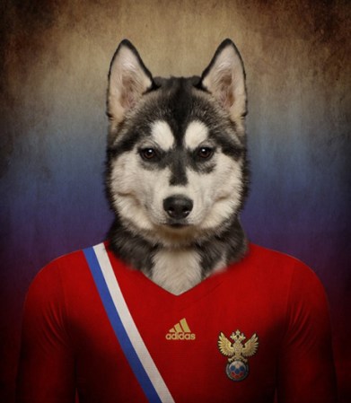 Husky Siberiano / Rusia