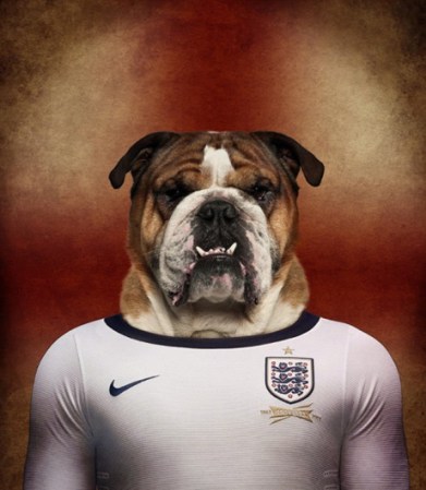 Bulldog, Inglaterra