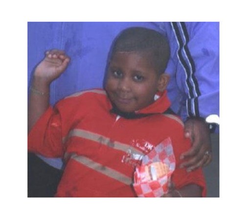 Se emitió una Alerta Amber para encontrar a Julian King de 7 años de edad, sobrino de Jennifer Hudson. El cuerpo del menor fue encontrado dentro de una camioneta el 27 de octubre del 2008.<br />Vista aérea del lugar en donde se encontró a King.