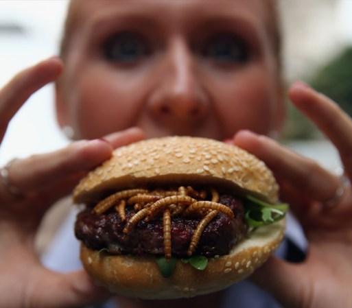 Los platos incluían: hamburguesa de paloma, aparentemente condimentada con gusanos…