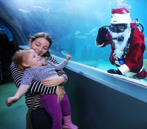 MELBOURNE, AUSTRALIA - Santa bajo el agua sorprende a un chiquita en el Acuario de Melbourne.