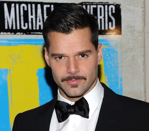Ricky Martin, cantante y actor