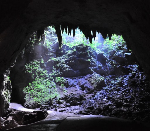 Un verdadero juego de luz y sombras. La excursión a la Cueva Clara se realiza en un tranvía que te pasea a través de una selva tropical para por fin ingresar a la cueva.