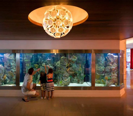 El paseo por el lobby es una gran experiencia. ¡Mira esto!