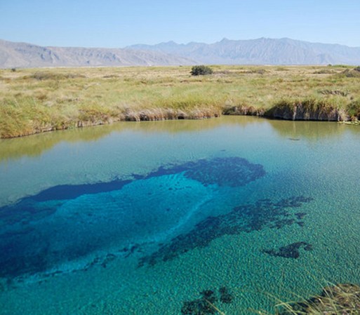 CUATROCIÉNEGAS COAHUILA. Declarado en 1994 Area Natural Protegida, constituye hoy uno de los grandes santuarios de la biodiversidad de México. Puedes visitar la Poza Azul, el Museo Casa Carranza, la Parroquia de San José y las bodegas de vino.
