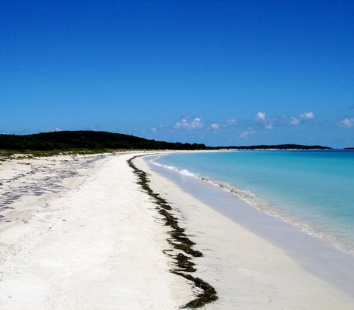 La isla de Vieques combina actividades culturales con una experiencia natural única. Los archipiélagos de coral son uno de los atractivos que puedes visitar.
