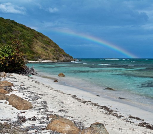 Aguas cristalinas, vistas espectaculares y arenas finas. Los tranquilos paisajes de la Isla Palomino te permitirán relajarte y desconectarte de la vida ajetreada de ciudad.