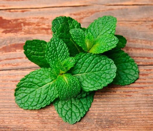 5. Menta, pimienta y miel: Este es un té excelente para quemar grasa del abdomen.