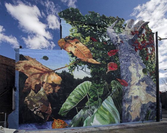 “Just Before Fall”, de James Burns (3911 Lancaster Avenue)