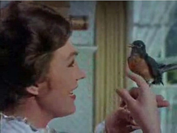 1994 fue un año excepcional en el que los cuatro premios actorales fueron ganados por actores no estadounidenses. Tres fueron para actores ingleses – Rex Harrison, por “My Fair Lady”; Peter Ustinov, por “Topkapi” y Julie Andrews por “Mary Poppins” y uno para una griega, Lila Kedrova por su actuación en “Zorba el griego”.