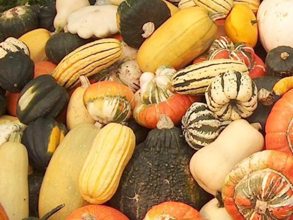 La calabaza moscada contiene vitaminas y fibra, no importa como la prepare.