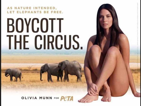 Olivia Munn de Iron Man 2 pide boicotear los circos