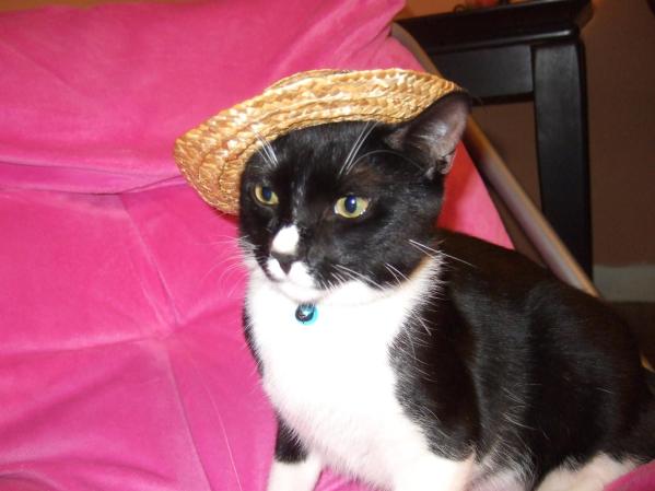 mi bebe(huchi). <br /> ¿Quieres compartir fotos como estas? Hazlo aquí <br />