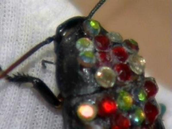 El nombre de la tienda en Utah donde se puede adquirir es Black Chandelier.