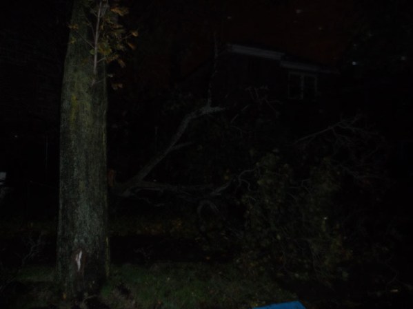 Arbol Caido. <br /><br />¡Haz clic aquí para mandar tus fotos de Sandy