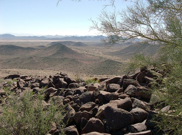 El desierto de Arizona, por ejemplo, es muy vigilado por las autoridades, pero tambiénn hacen lo mismo estos "halcones".
