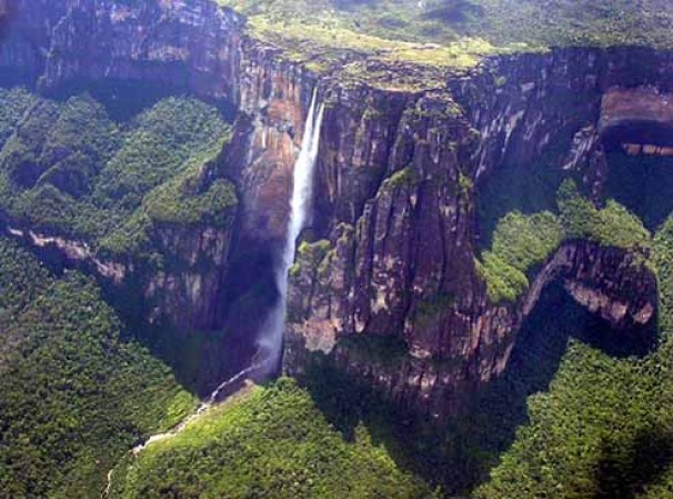Amazonas, Brasil.<br /><br />El hogar del 20% de cada especie vegetal y animal mundialmente, se ha reducido por 373,000 millas cuadradas en los últimos 30 años. <br /><br /><br />.