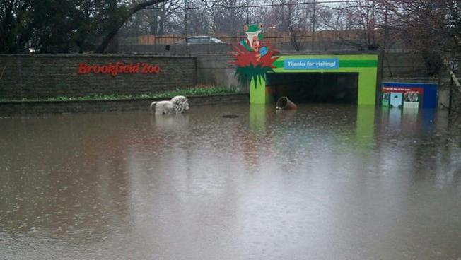 Cierran zoo por inundaciones