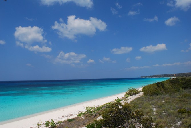 Barahona y Pedernales, es una zona virgen que alberga muchas especies en peligro de extinción. Está a aproximadamente cuatro horas de distancia de Santo Domingo.
