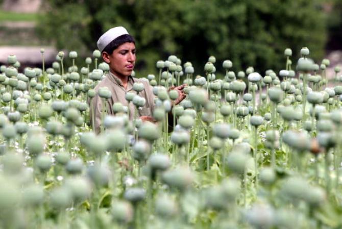 La droga tiene tiene destinos muy variados como Europa, África y Asia e incluso llega a Estados Unidos y a Canadá.