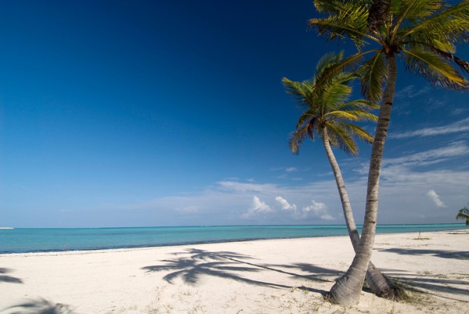 Las playas de Punta Cana, con sus cocoteros incluidos, son consideradas entre las más bellas del mundo.