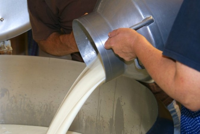 3. Peligros causados por la hormona de crecimiento bovina. Muchas granjas lecheras usan hormonas de crecimiento bovinas (rBGH) para aumentar la producción de leche en las vacas. La hormona provoca la inflamación de las ubres de las vacas, las que pueden contaminar la leche con la pus secretada.