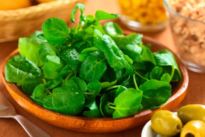 Berro: Aunque no es muy común, es una planta rica en minerales y antioxidantes. Un poco de berro en tus ensaladas aumentará los niveles de antioxidantes en todo tu cuerpo y sobre todo tu piel.