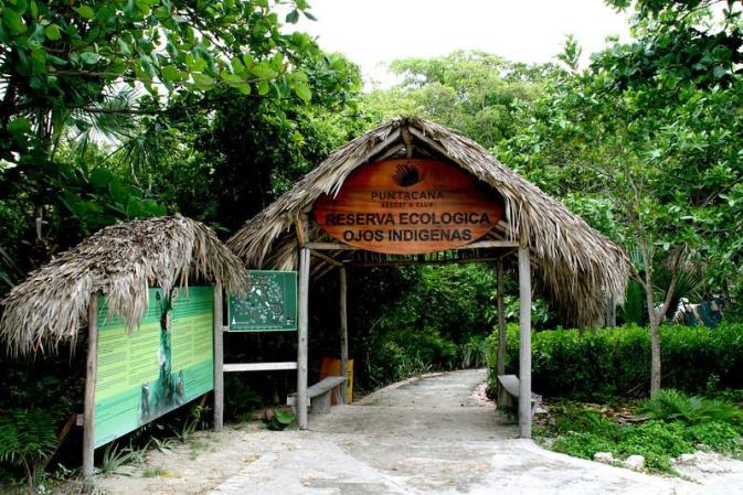 Al sur de Punta Cana encontrarás el parque ecológico Ojos Indígenas, una reserva natural digna de ser visitada.