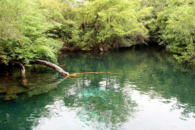 Al mismo tiempo que Punta Cana ofrece modernidad, cuenta también con naturaleza en su estado más puro.