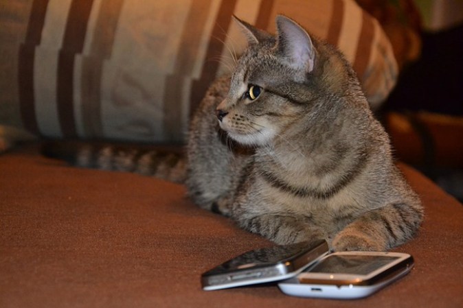 6.- No te preocupa dejar tu celular en casa