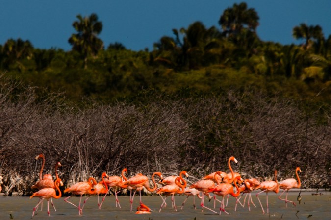 Barahona es lo que se consideraría un encuentro cercano con la naturaleza en su estado salvaje.