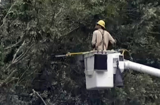 El tornado dejó varios árboles caídos, a miles de residentes sin luz y varias zonas inundadas.