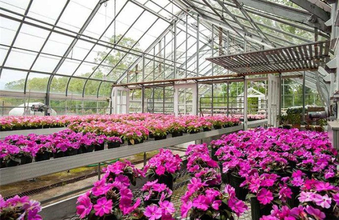 Así como un impresionante invernadero, espectaculares jardines y áreas verdes…<br />Fuente: davidogilvy.com