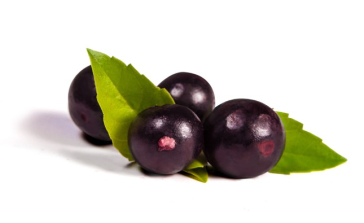 Acai, fruta exótica del amazonas, rica en antioxidantes, ayuda en el combate del cáncer y enfermedades del corazón.