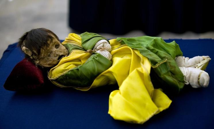 Momia de un niño llamado Daniel parte de la famosa colección de las Momias de Guanajuato. Estas momias se descubrieron en 1865, están momificadas naturalmente y en su mayoría fueron víctimas de un brote de cólera acontecido en 1833.
