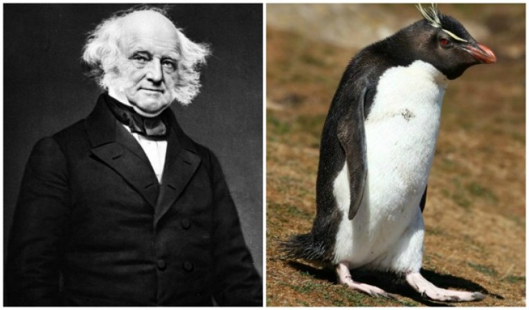 El presidente Martin van Buren y este pingüino comparten unas largas cejas que lucen muy muy parecidas.
