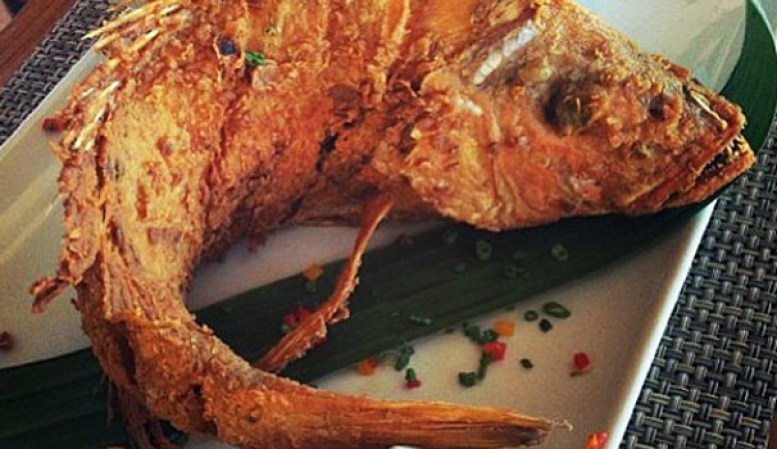 Una de las playas más visitadas e icónicas de Republica Dominicana es la de Boca Chica, la cual cuenta con una inigualable receta para preparar el pescado frito o al vapor.