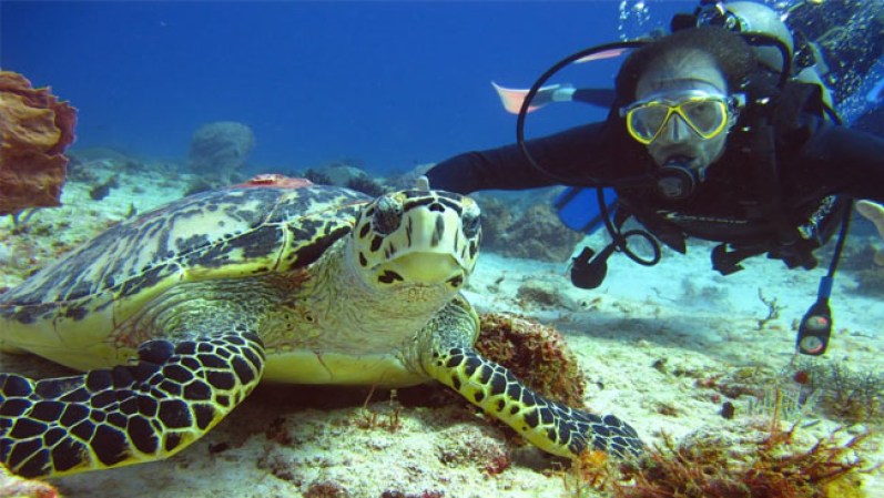 Entre tantas actividades que hay en la Riviera Maya, una de ellas es el buceo.