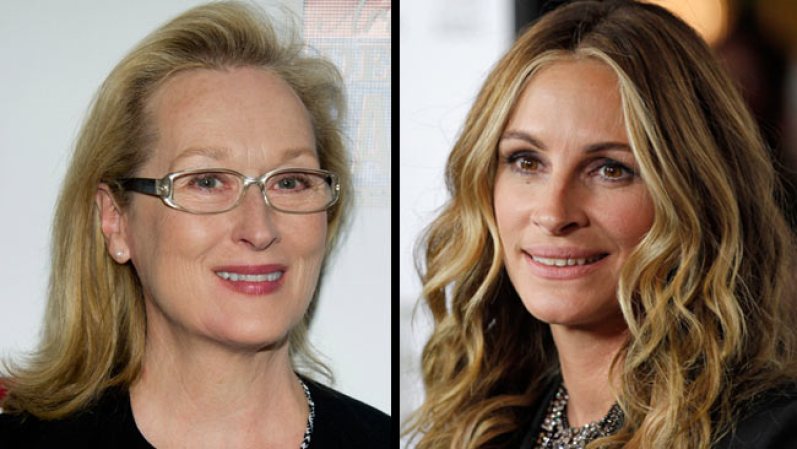 "August: Osage County", una película basada en un libro ganador del Pullitzer (fórmula que suele dar muy buenos resultados en el cine) y protagonizada por Meryl Streep y Julia Roberts. Narra la historia de las mujeres de una familia que deben volver a vivir juntas, de adultas, bajo la fuerte presencia de la madre. De aquí saldrán candidatas a Mejor Actriz y Mejor Actriz de Reparto.