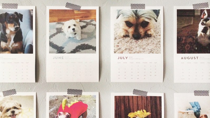 Calendario para blogeros amantes de perros y gatos. Adquierelo en etsy.com, $12.