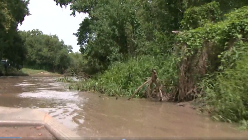 El cultivo estabe perfectamente camulflado en un parque natural, asl cual sólo se podía acceder por río o en avión.