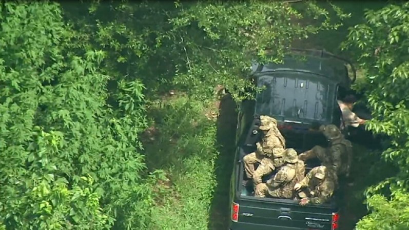 AGOSTO 20, 2014. Una selva de marihuana. Eso fue lo que encontraron las autoridades en el área de Sugarland, al suroeste de Houston.