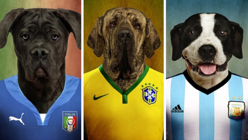 El fotógrafo belga Eric creó una insólita serie de fotografías con perros representativos de cada país que jugará en el Mundial y les puso la camiseta correspondiente. Te vas a divertir viendo estas fotos.