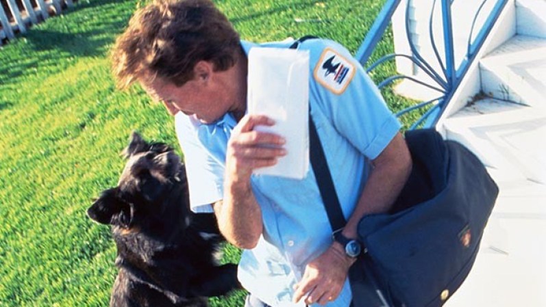 MAYO 14, 2014. Durante 2013 un total de 5,581 carteros fueron mordidos por perros. Estas son las 25 ciudades donde más carteros fueron atacados, según un reporte del Servicio Postal de los Estados Unidos.