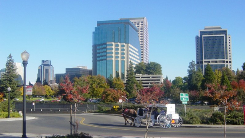 No. 14. Sacramento, California. 30 carteros mordidos.